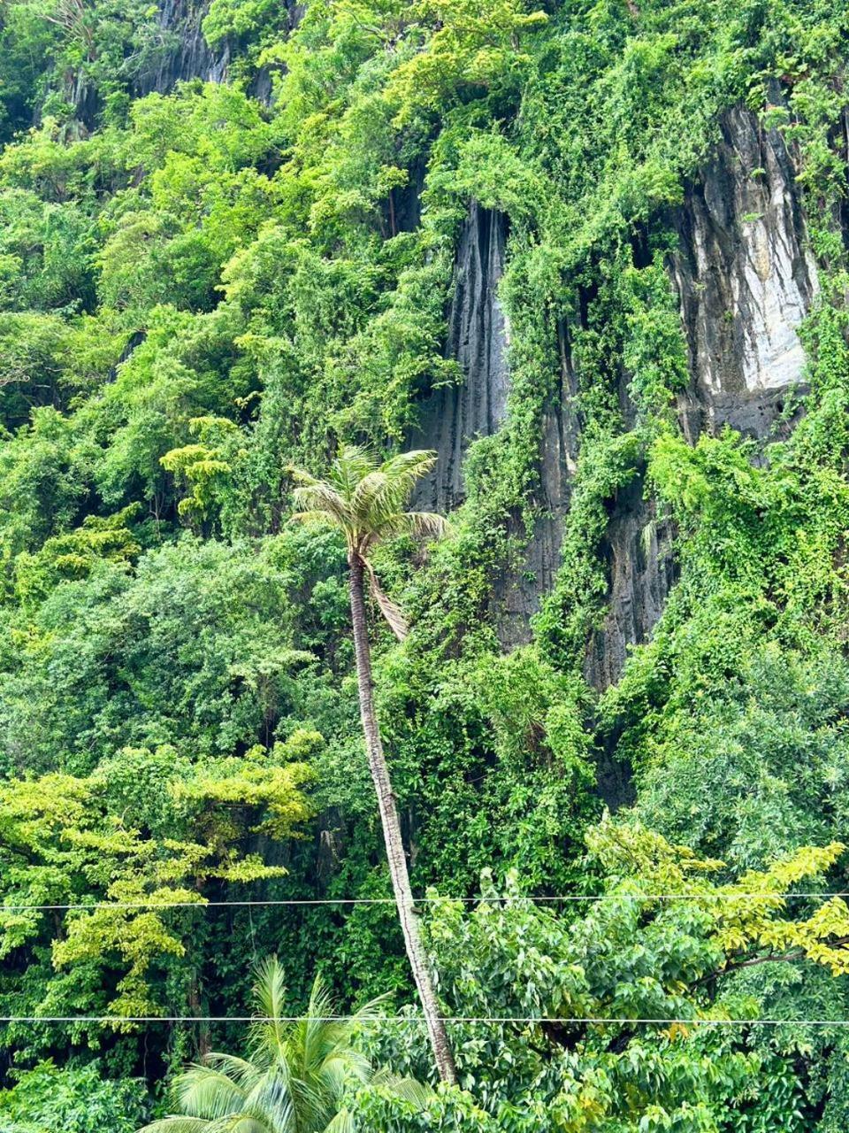 Mayad El Nido Inn Bagian luar foto