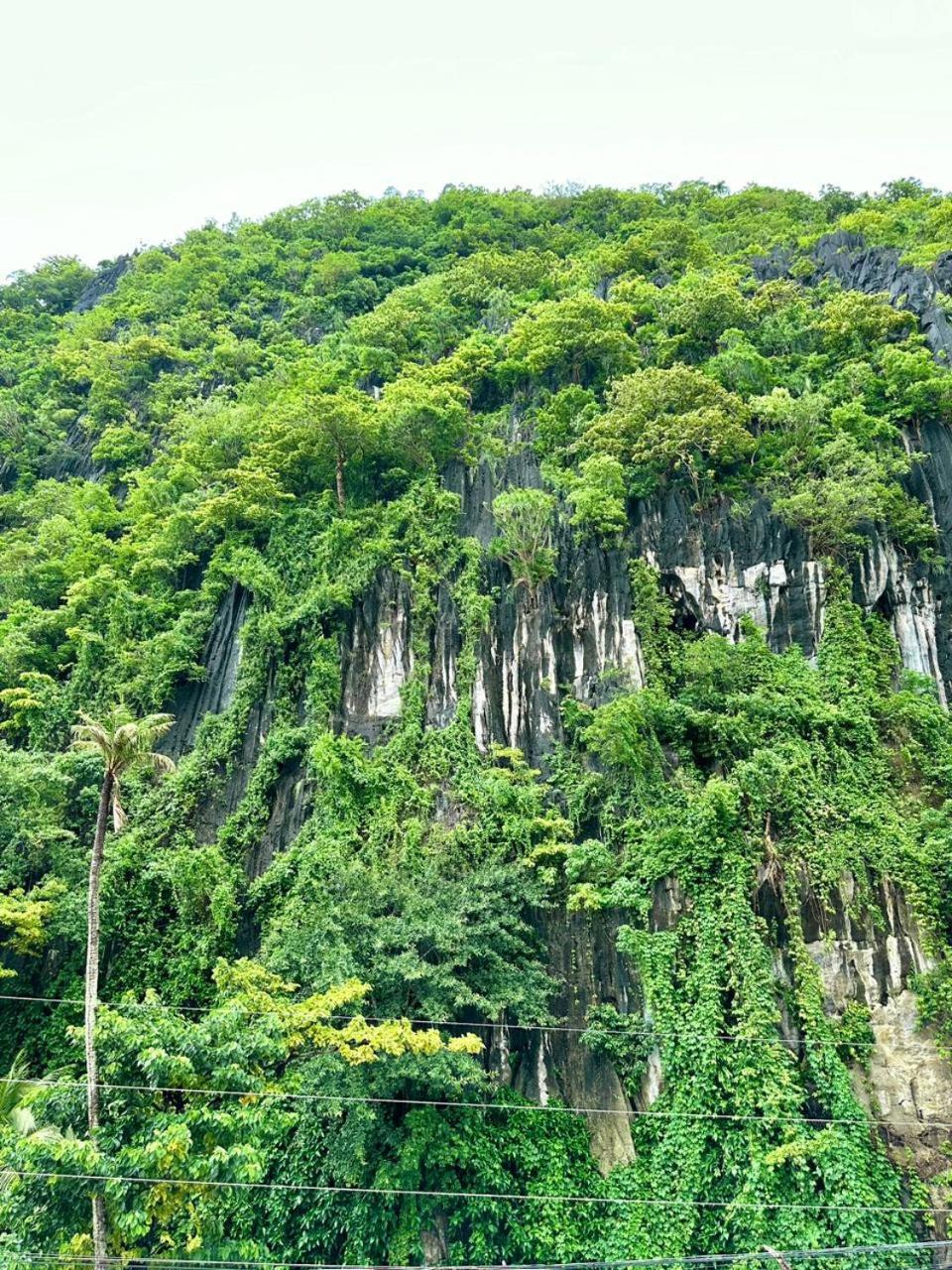 Mayad El Nido Inn Bagian luar foto