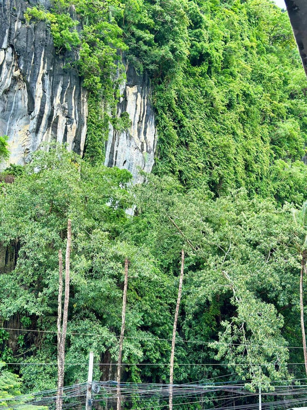 Mayad El Nido Inn Bagian luar foto